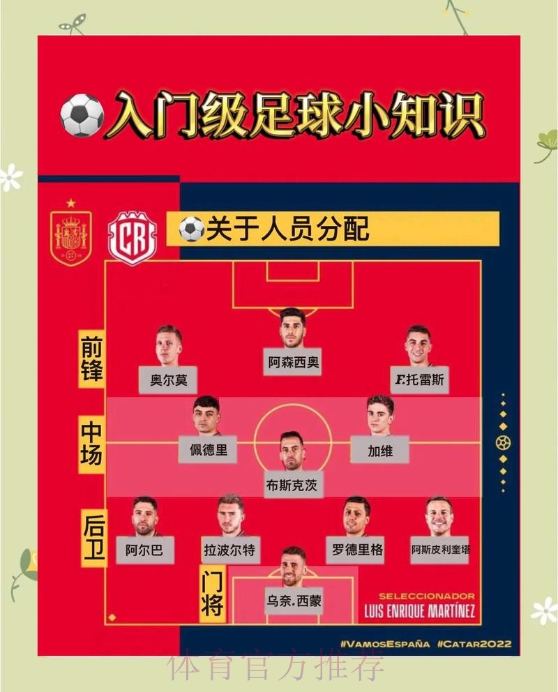 世界杯比利时贝林厄姆比赛解读完整指南 世界杯比利时贝林厄姆比赛解读完整指南